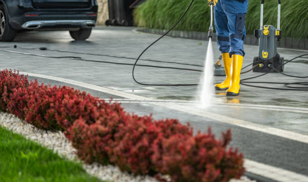 Best Local Pressure Washing Services  in North Apollo, PA