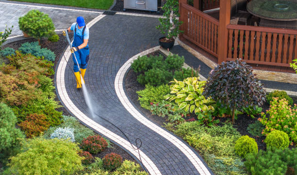 Best Pressure Washing Near Me  in North Apollo, PA